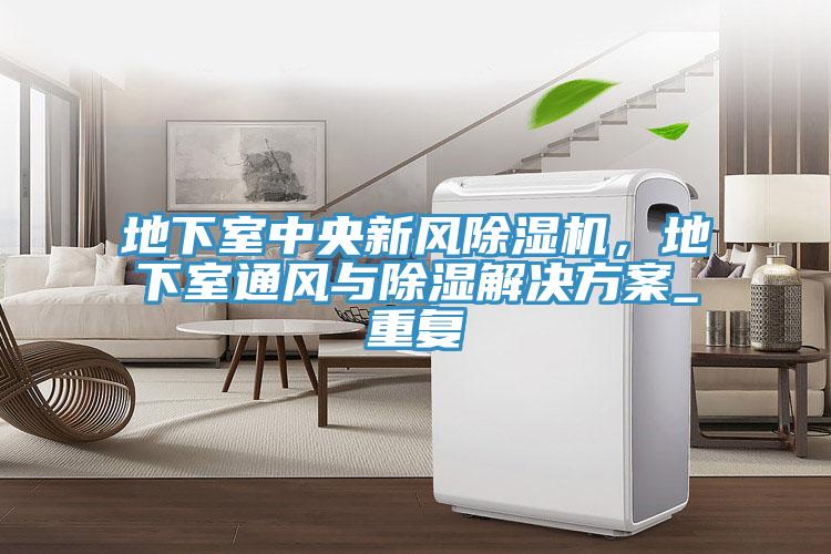 地下室中央新风泡芙短视频APP官方下载地址，地下室通风与除湿解决方案_重复