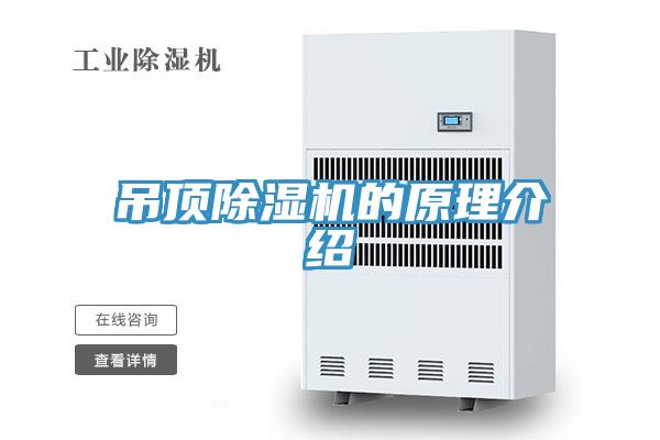 吊顶泡芙短视频APP官方下载地址的原理介绍