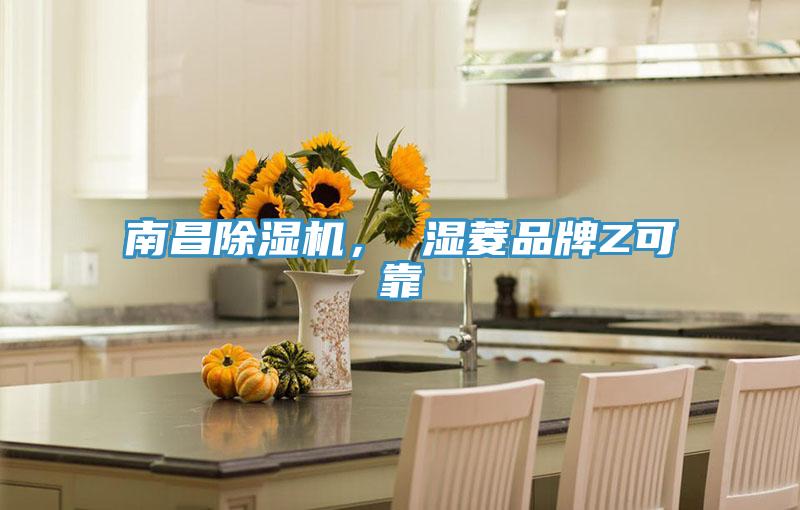 南昌泡芙短视频APP官方下载地址， 湿菱品牌Z可靠