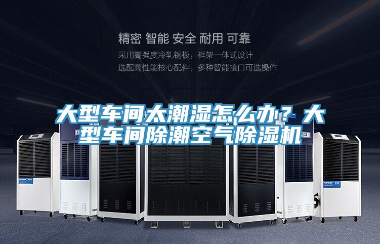 大型车间太潮湿怎么办？大型车间除潮空气泡芙短视频APP官方下载地址