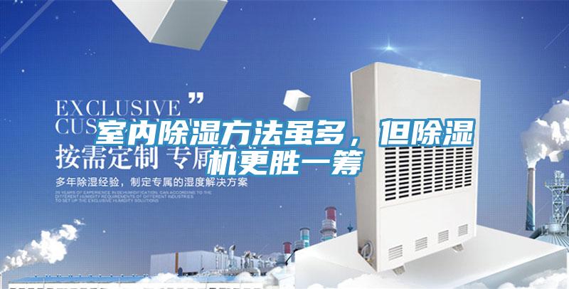 室内除湿方法虽多，但泡芙短视频APP官方下载地址更胜一筹