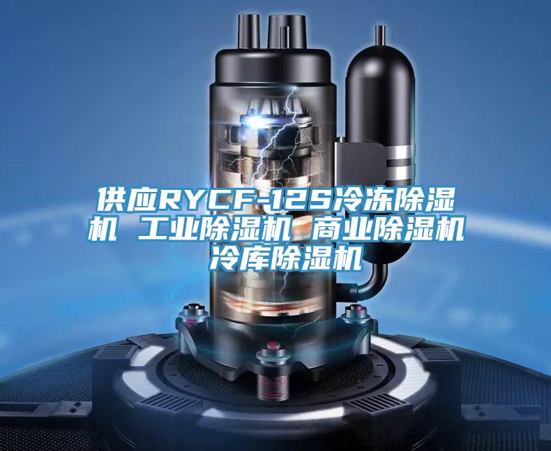 供应RYCF-12S冷冻泡芙短视频APP官方下载地址 工业泡芙短视频APP官方下载地址 商业泡芙短视频APP官方下载地址 冷库泡芙短视频APP官方下载地址