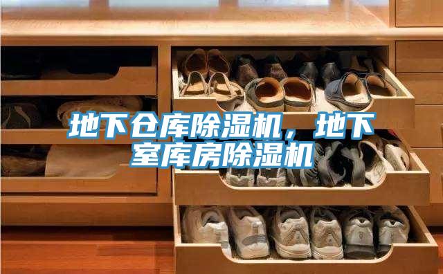 地下仓库泡芙短视频APP官方下载地址，地下室库房泡芙短视频APP官方下载地址