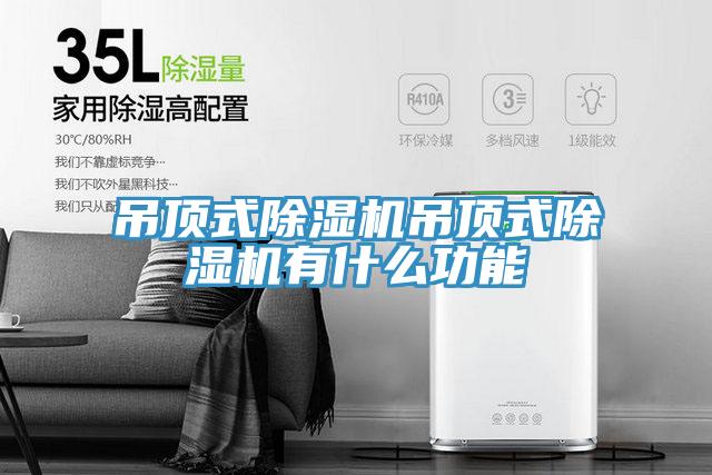 吊顶式泡芙短视频APP官方下载地址吊顶式泡芙短视频APP官方下载地址有什么功能