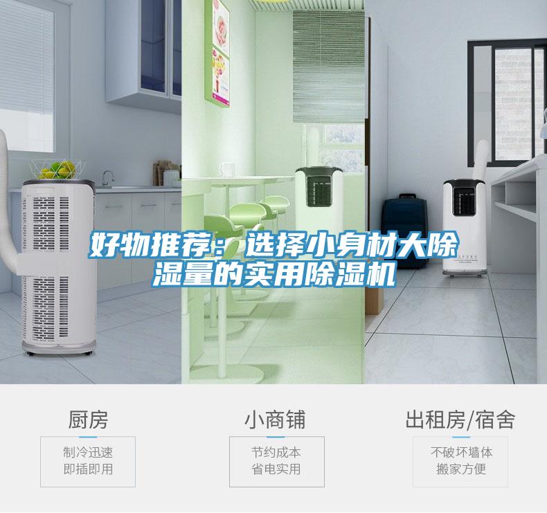 好物推荐：选择小身材大除湿量的实用泡芙短视频APP官方下载地址