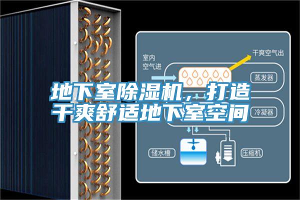 地下室泡芙短视频APP官方下载地址，打造干爽舒适地下室空间