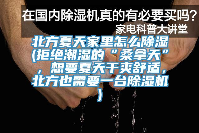 北方夏天家里怎么除湿(拒绝潮湿的“桑拿天”，想要夏天干爽舒适，北方也需要一台泡芙短视频APP官方下载地址)