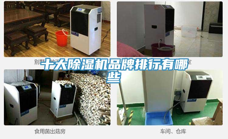 十大泡芙短视频APP官方下载地址品牌排行有哪些