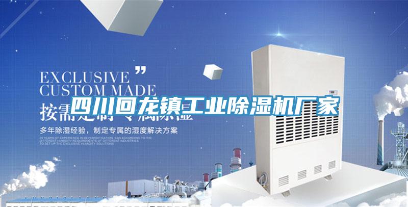 四川回龙镇工业泡芙短视频APP官方下载地址厂家