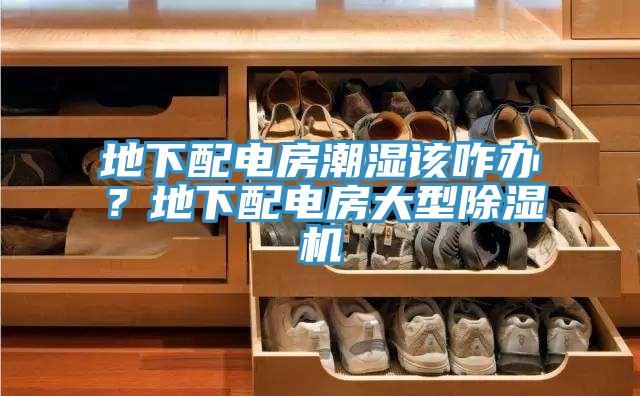 地下配电房潮湿该咋办？地下配电房大型泡芙短视频APP官方下载地址