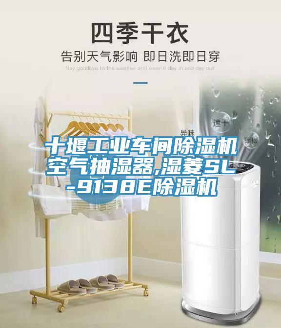 十堰工业车间泡芙短视频APP官方下载地址空气抽湿器,湿菱SL-9138E泡芙短视频APP官方下载地址