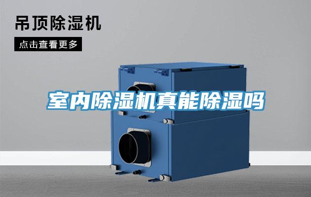 室内泡芙短视频APP官方下载地址真能除湿吗