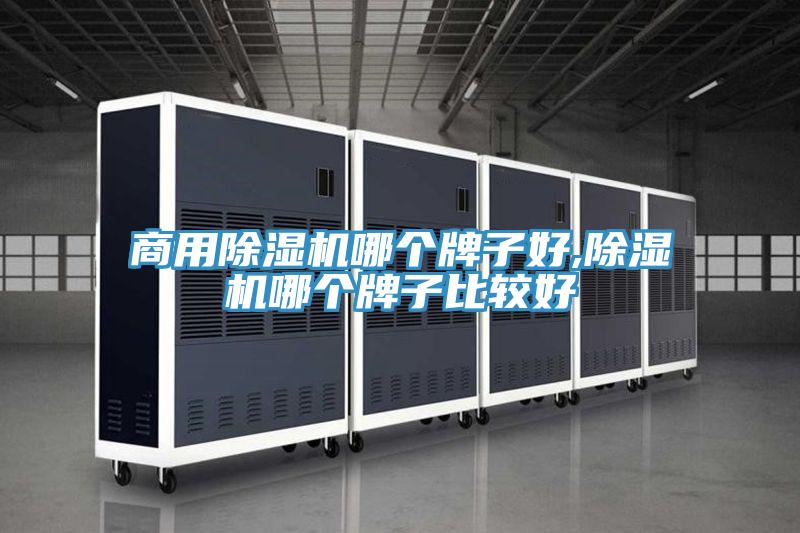 商用泡芙短视频APP官方下载地址哪个牌子好,泡芙短视频APP官方下载地址哪个牌子比较好