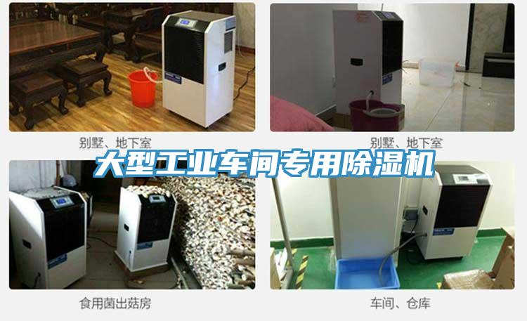 大型工业车间专用泡芙短视频APP官方下载地址