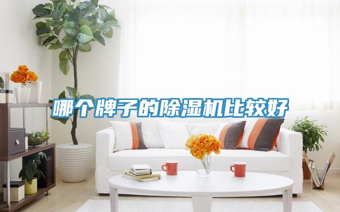 哪个牌子的泡芙短视频APP官方下载地址比较好