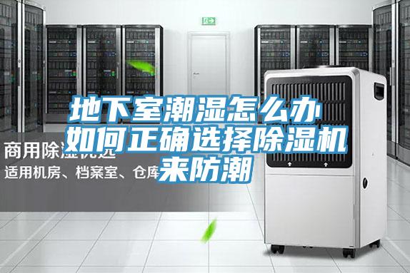 地下室潮湿怎么办 如何正确选择泡芙短视频APP官方下载地址来防潮