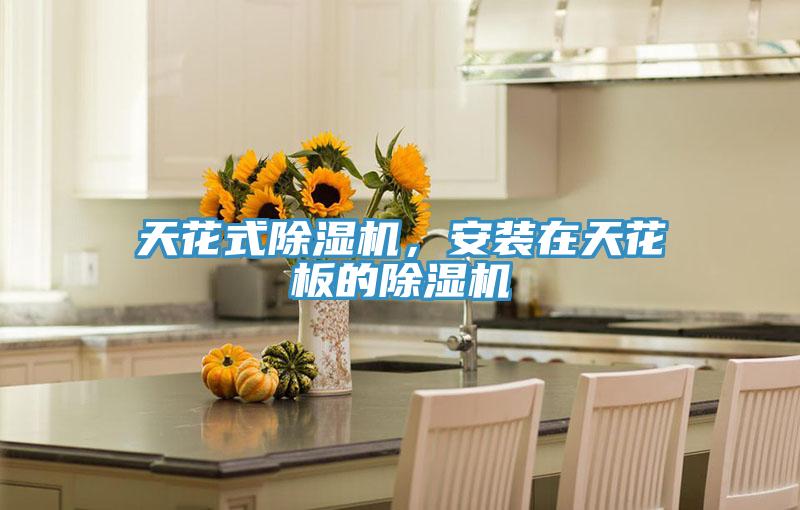 天花式泡芙短视频APP官方下载地址，安装在天花板的泡芙短视频APP官方下载地址