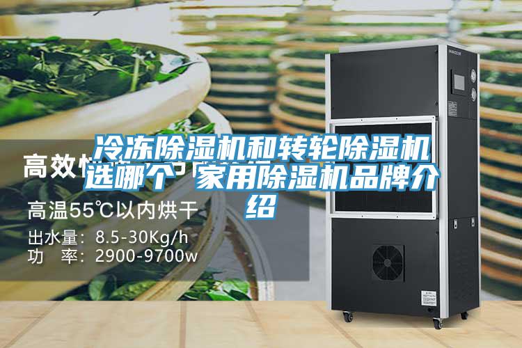 冷冻泡芙短视频APP官方下载地址和转轮泡芙短视频APP官方下载地址选哪个 家用泡芙短视频APP官方下载地址品牌介绍