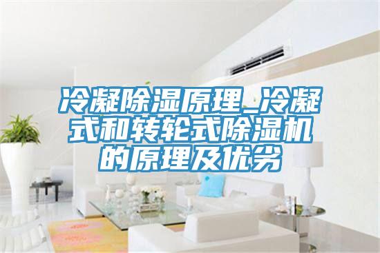 冷凝除湿原理_冷凝式和转轮式泡芙短视频APP官方下载地址的原理及优劣