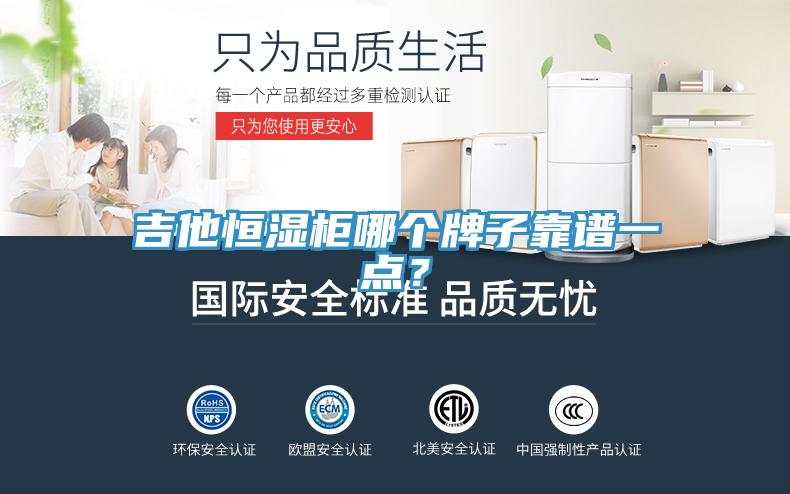 吉他恒湿柜哪个牌子靠谱一点？