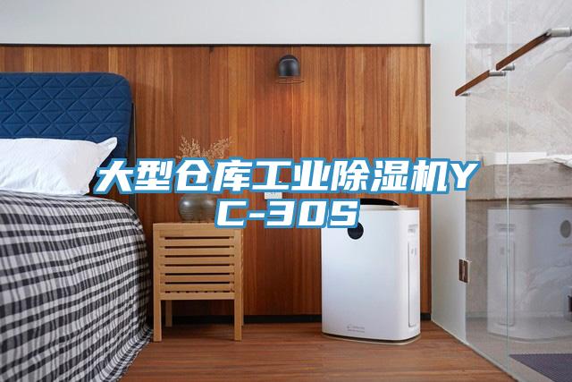 大型仓库工业泡芙短视频APP官方下载地址YC-30S