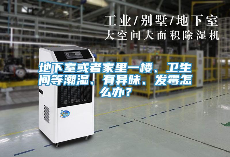 地下室或者家里一楼、卫生间等潮湿、有异味、发霉怎么办？