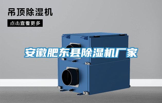 安徽肥东县泡芙短视频APP官方下载地址厂家