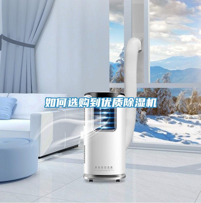 如何选购到优质泡芙短视频APP官方下载地址