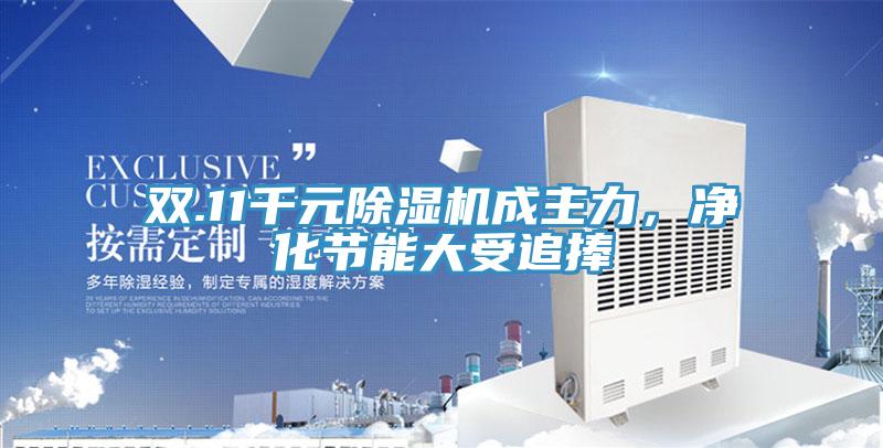 双.11千元泡芙短视频APP官方下载地址成主力，净化节能大受追捧