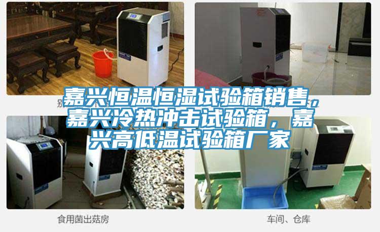 嘉兴恒温恒湿试验箱销售，嘉兴冷热冲击试验箱，嘉兴高低温试验箱厂家