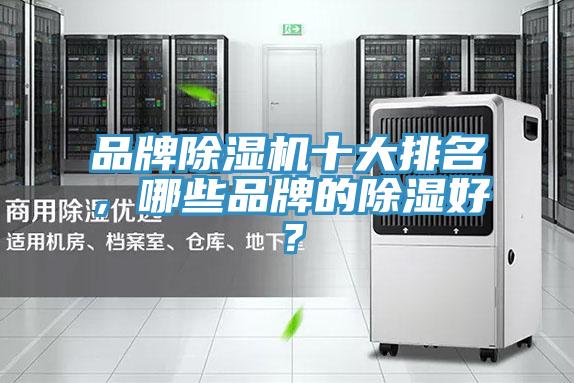 品牌泡芙短视频APP官方下载地址十大排名，哪些品牌的除湿好？