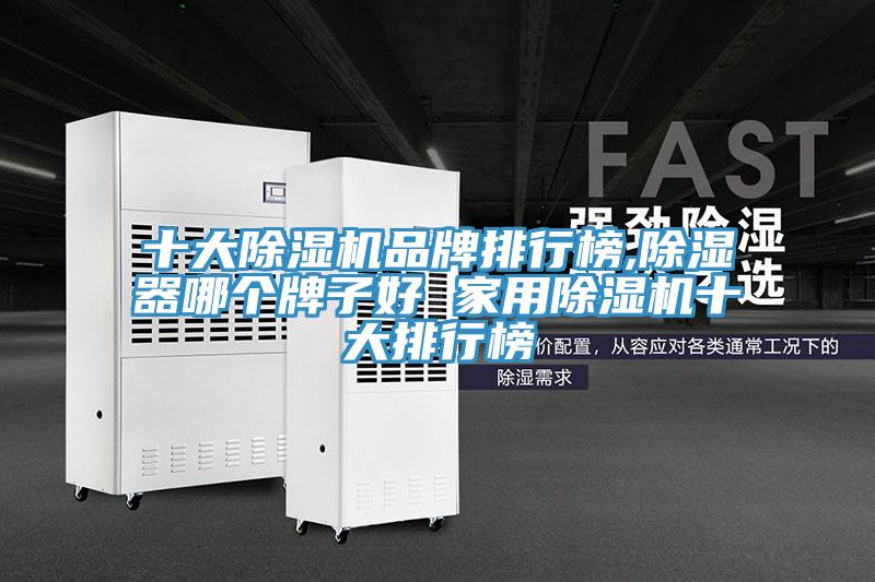 十大泡芙短视频APP官方下载地址品牌排行榜,除湿器哪个牌子好 家用泡芙短视频APP官方下载地址十大排行榜