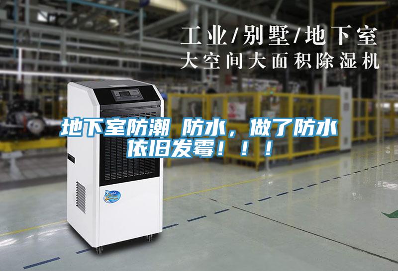 地下室防潮≠防水，做了防水依旧发霉！！！