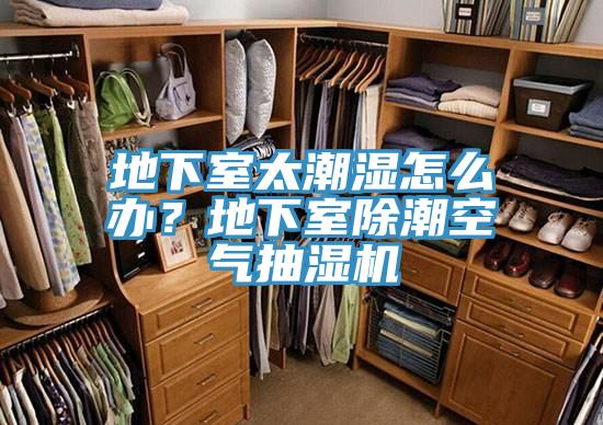 地下室太潮湿怎么办？地下室除潮空气抽湿机