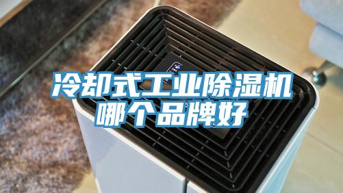 冷却式工业泡芙短视频APP官方下载地址哪个品牌好