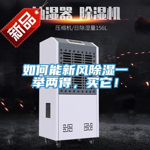 如何能新风除湿一举两得，买它！