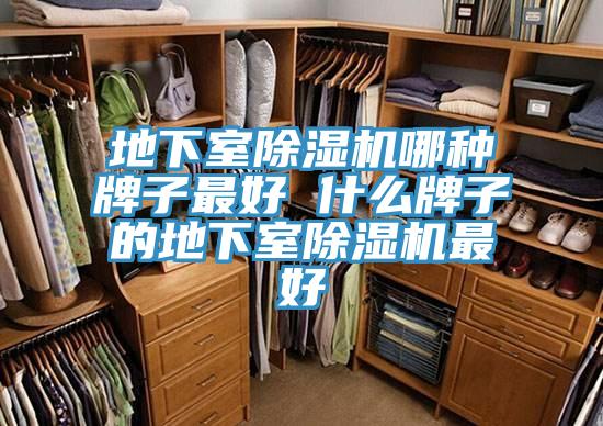 地下室泡芙短视频APP官方下载地址哪种牌子最好 什么牌子的地下室泡芙短视频APP官方下载地址最好