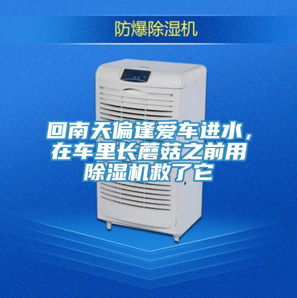 回南天偏逢爱车进水，在车里长蘑菇之前用泡芙短视频APP官方下载地址救了它