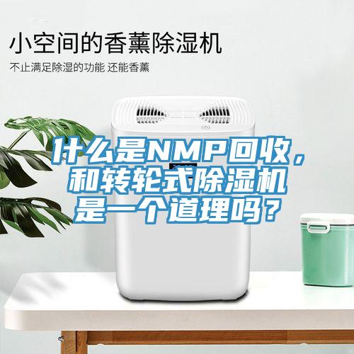 什么是NMP回收，和转轮式泡芙短视频APP官方下载地址是一个道理吗？
