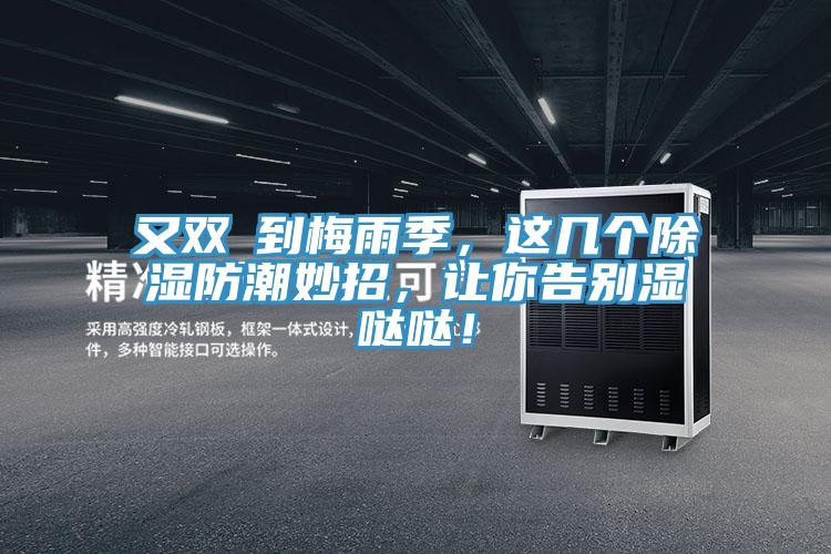 又双叒到梅雨季，这几个除湿防潮妙招，让你告别湿哒哒！