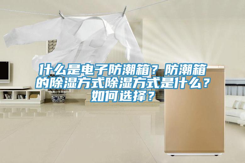 什么是电子防潮箱？防潮箱的除湿方式除湿方式是什么？如何选择？