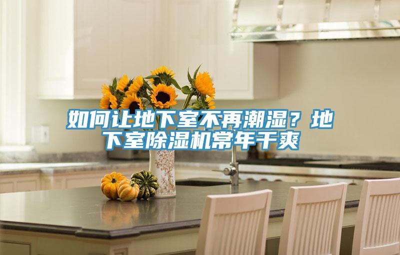 如何让地下室不再潮湿？地下室泡芙短视频APP官方下载地址常年干爽