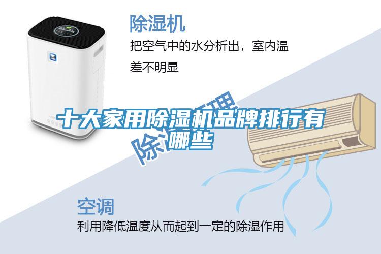 十大家用泡芙短视频APP官方下载地址品牌排行有哪些