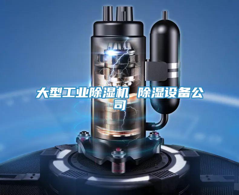 大型工业泡芙短视频APP官方下载地址 除湿设备公司