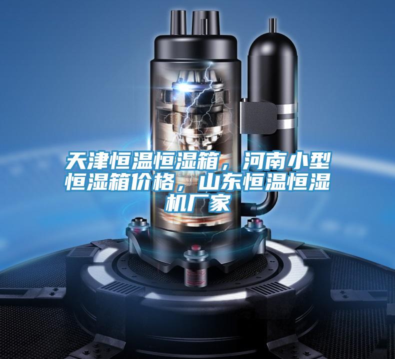 天津恒温恒湿箱，河南小型恒湿箱价格，山东恒温恒湿机厂家