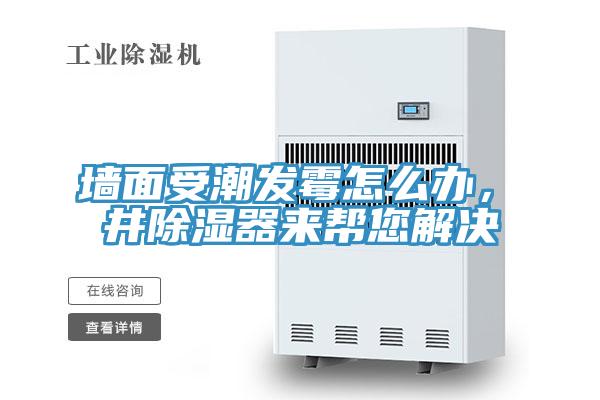 墙面受潮发霉怎么办，東井除湿器来帮您解决