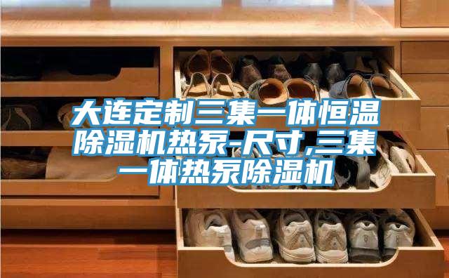 大连定制三集一体恒温泡芙短视频APP官方下载地址热泵-尺寸,三集一体热泵泡芙短视频APP官方下载地址