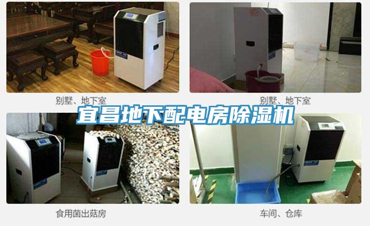 宜昌地下配电房泡芙短视频APP官方下载地址