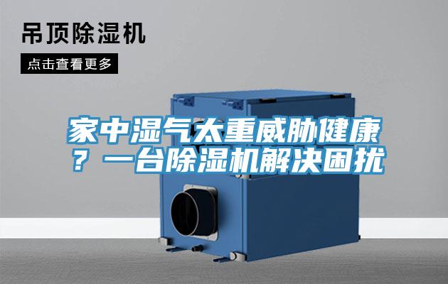 家中湿气太重威胁健康？一台泡芙短视频APP官方下载地址解决困扰