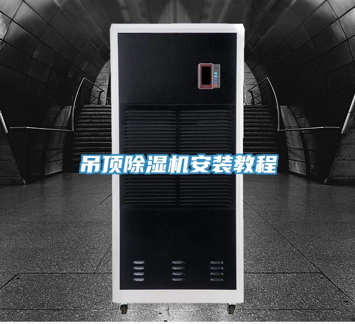 吊顶泡芙短视频APP官方下载地址安装教程